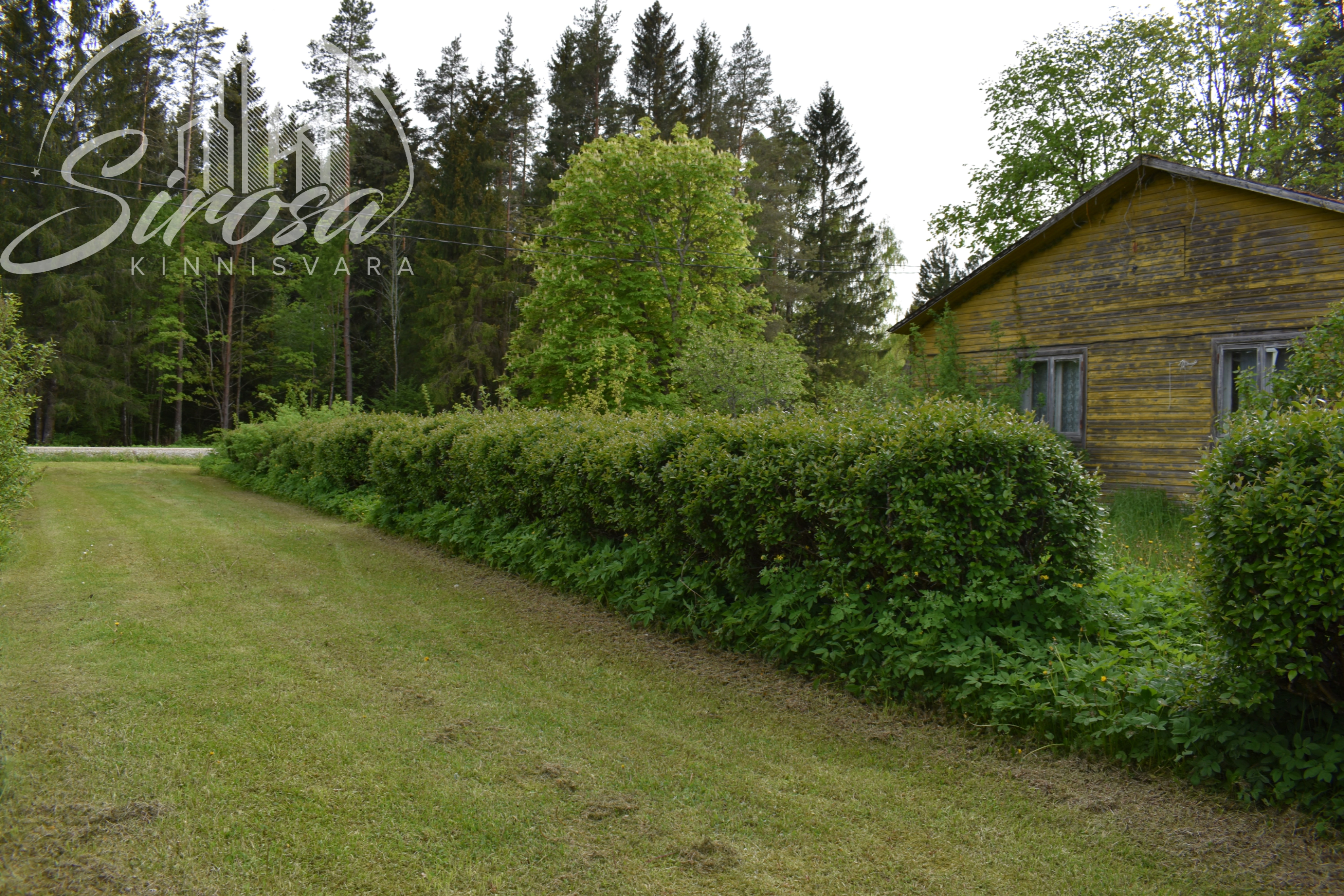Ilvese, Nüri küla, Lüganuse vald, Ida-Virumaa