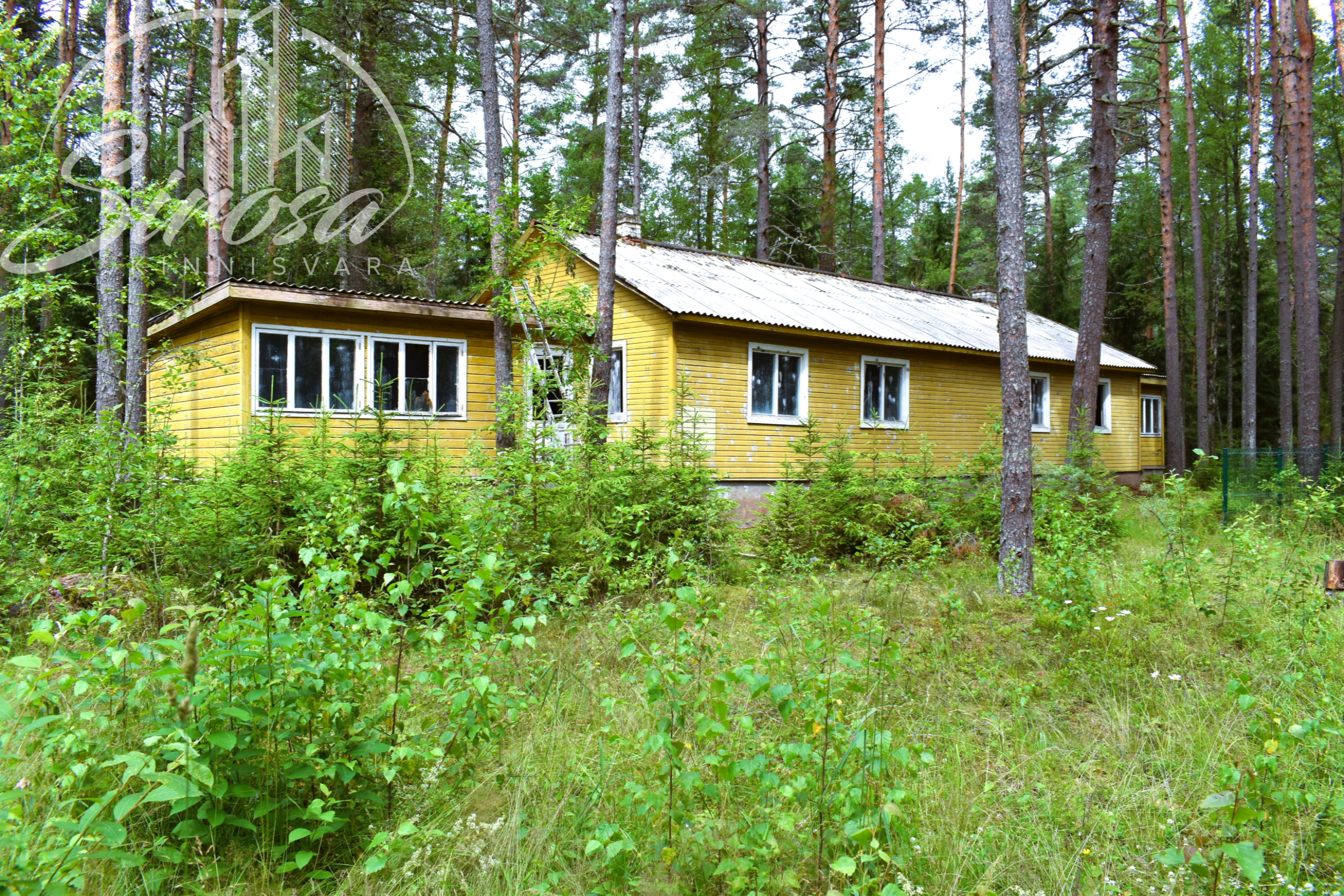 Laagri tee, Konsu küla, Alutaguse vald, Ida-Virumaa